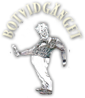 Botvid Logotyp